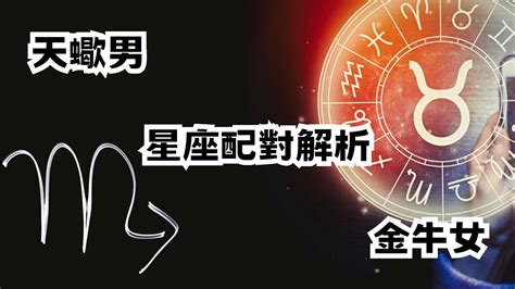 天蠍男適合的星座女|天蠍男適合什麼星座女？深度剖析星座配對